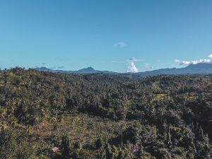 Drone view of Calibishie, Dominica