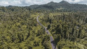 Drone view of Forests in Rosalie, Dominica