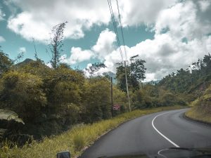 Driving through Forests in Dominica, The Caribbean