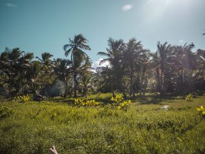 Hodges Beach, Calibishie, Dominica