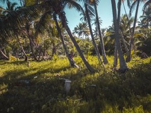 Ella McKendrick on Hodges Beach, Calibishie, Dominica