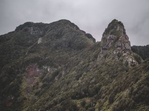 Anaga Rural Park, Tenerife