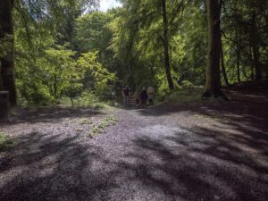 Birks of Aberfeldy walk