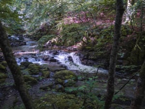 Lower falls, Birks of Aberfeldy walk, Scotland