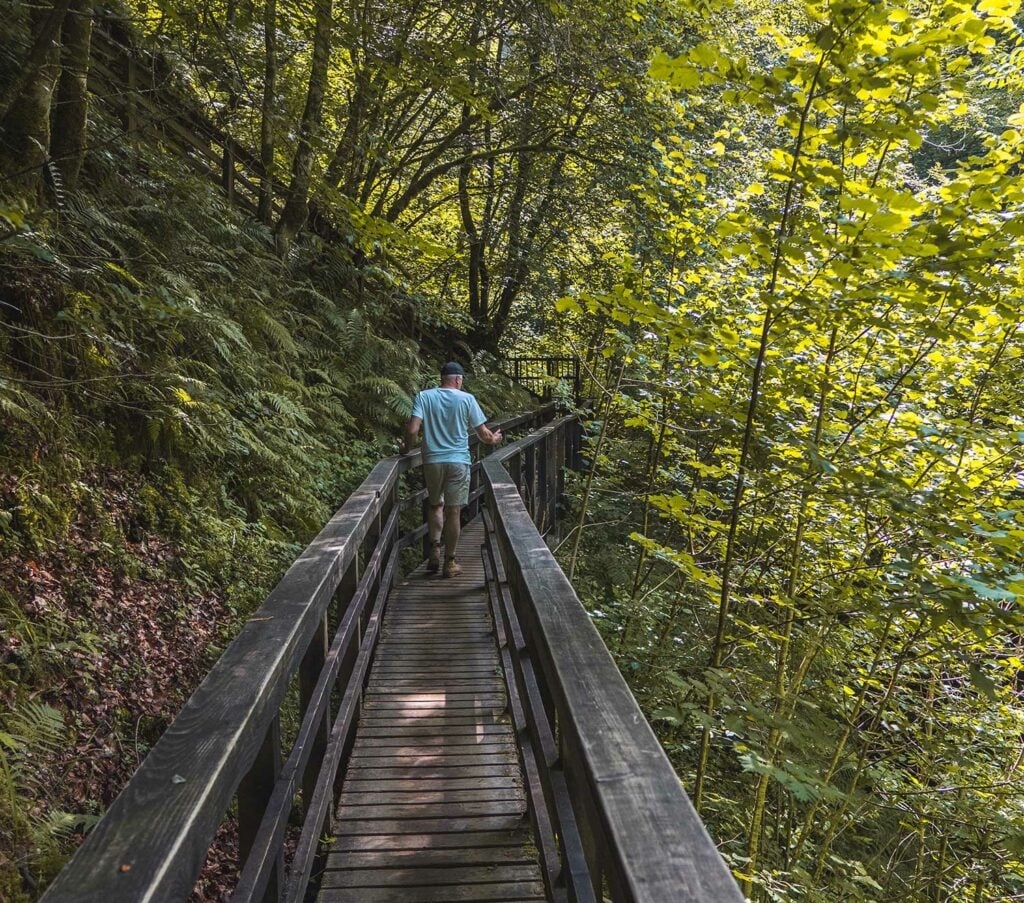 Wood bridge on Birks of Aberfeldy walk