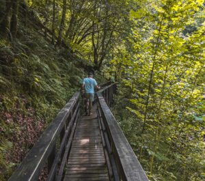 Wood bridge on Birks of Aberfeldy walk