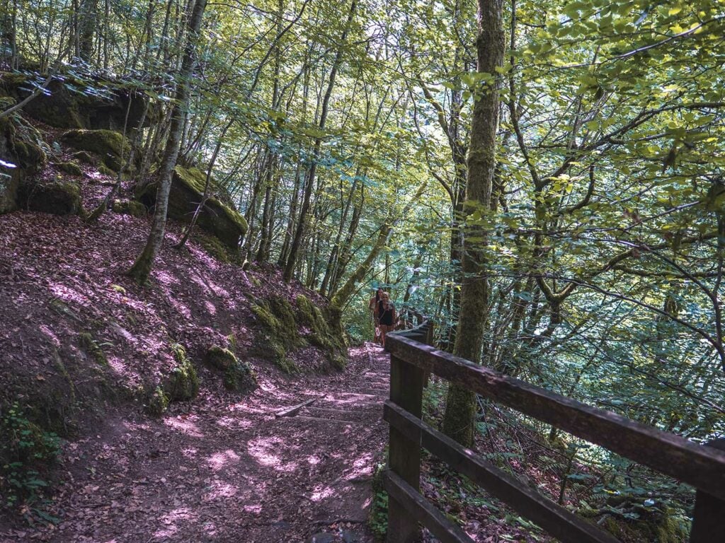 Steps Birks of Aberfeldy walk, Scotland