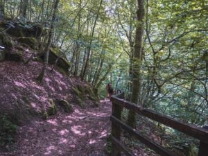 Steps Birks of Aberfeldy walk, Scotland