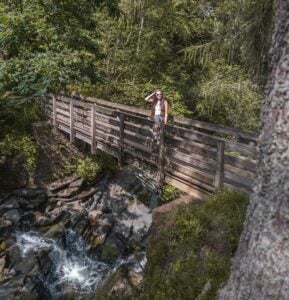 Bridge Birks of Aberfeldy walk, Scotland