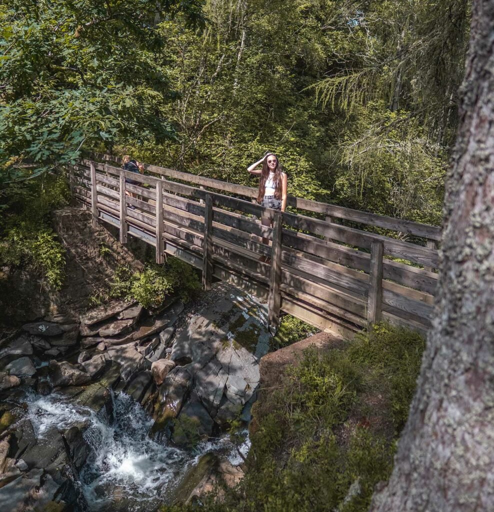 Bridge Birks of Aberfeldy walk, Scotland
