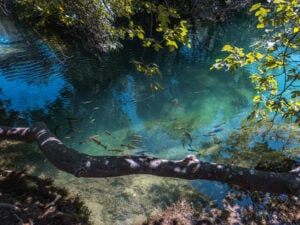 Clear Waters of Krka National Park, Croatia