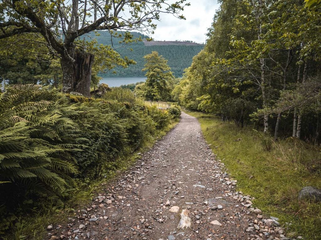 Walk to the Falls of Acharn, Loch Tay, Scotland