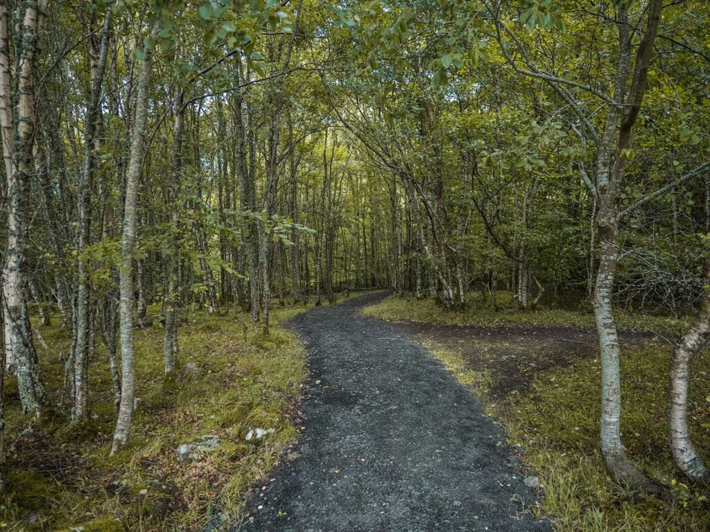 Walk to the Falls of Acharn, Loch Tay, Scotland