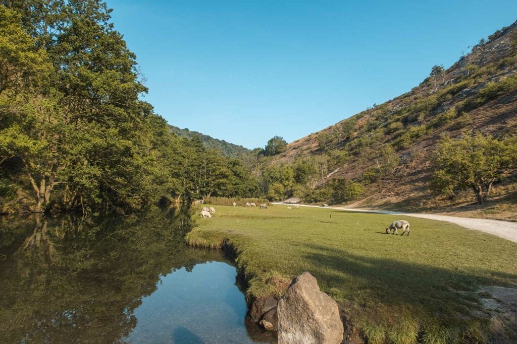 Dovedale Stepping Stones is quiet at at 8.30am on a Sunday morning