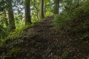 Walking up to Bunster Hill after visiting Dovedale Stepping Stones