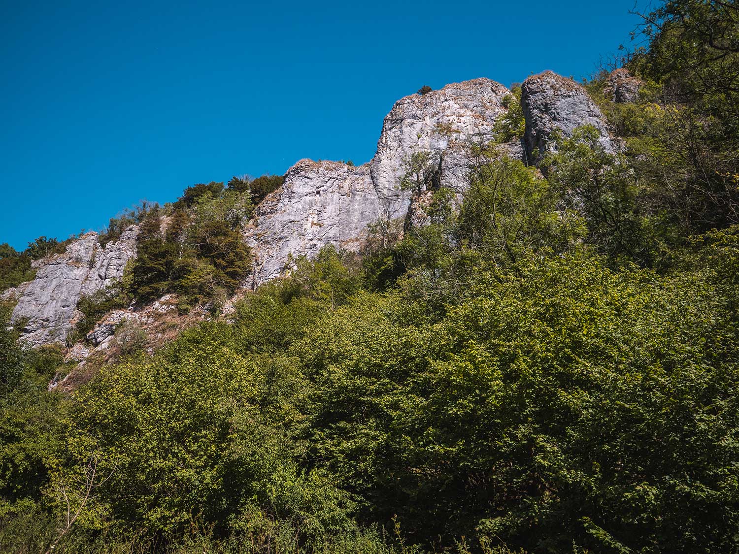 Dovedale Stepping Stones: A Complete Visitor’s Guide