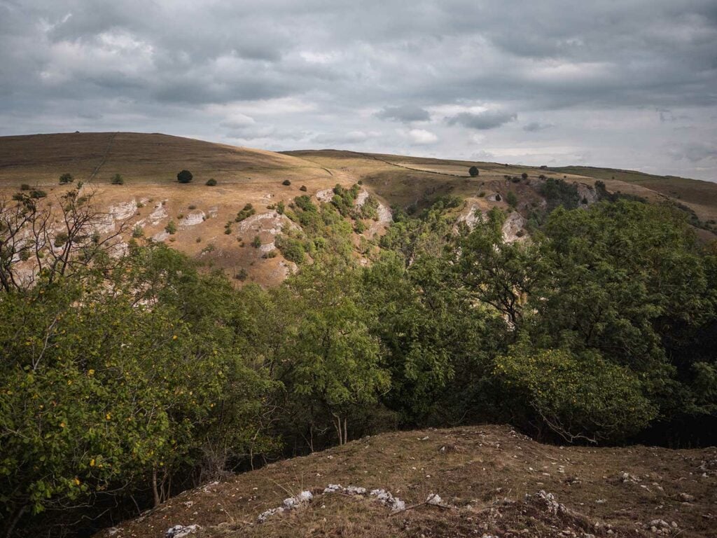 Looking over the Dovedale Valley from Bunster Hill