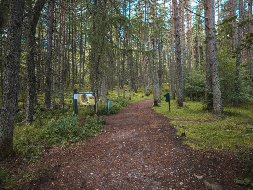 Path through the Forest on the Walk to the Falls of Bruar in Perthshire, Scotland