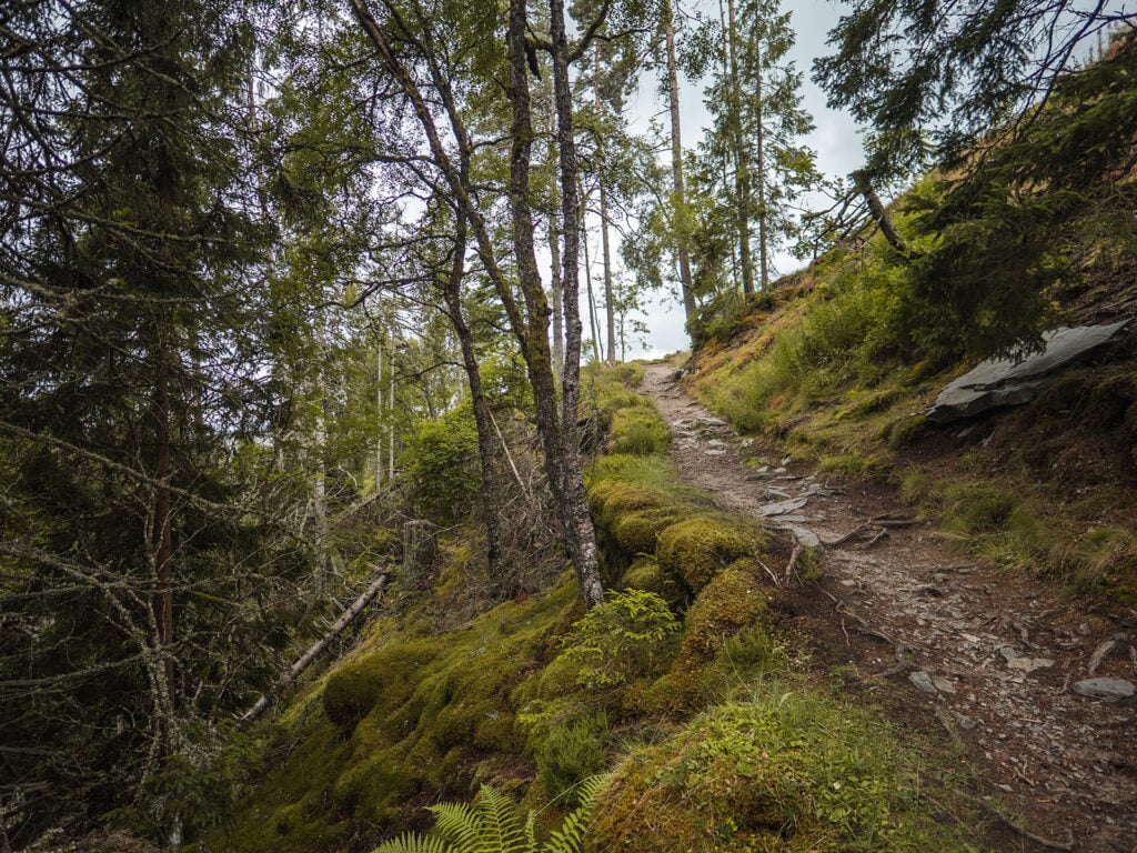 Path to and from the Upper Falls of Bruar in Perthshire, Scotland