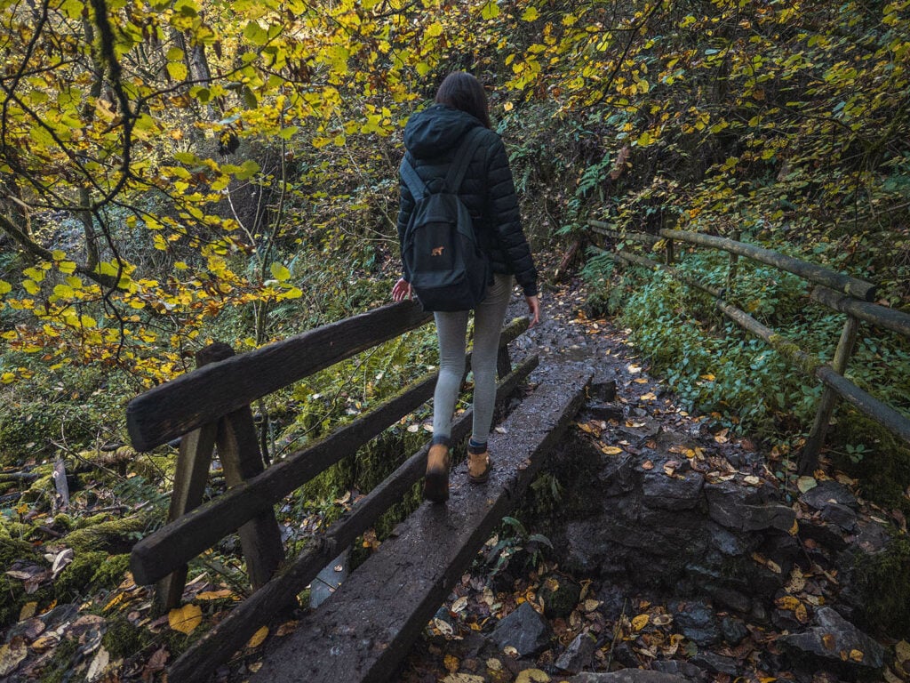 Small wooden bridge which crosses over wormhill springs