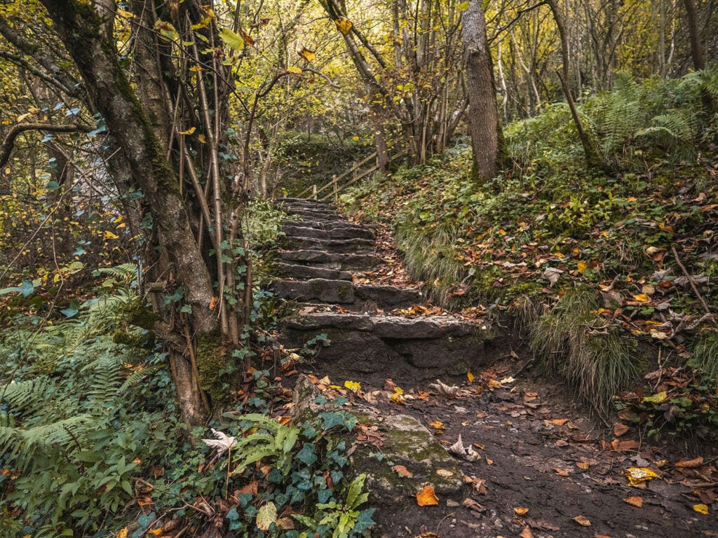 Steps up to monsal trail