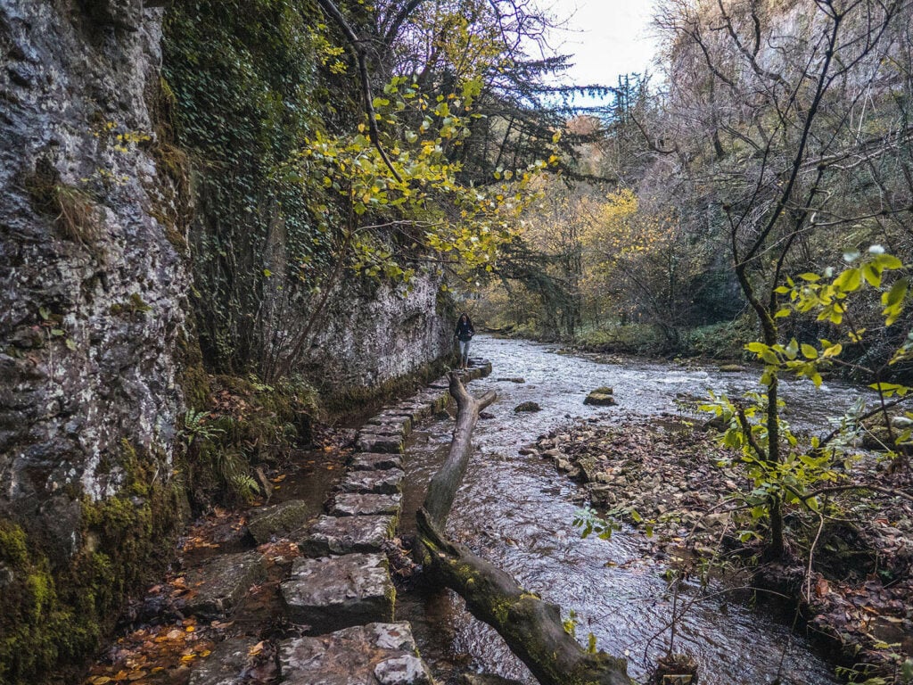 Chee Dale Stepping Stones