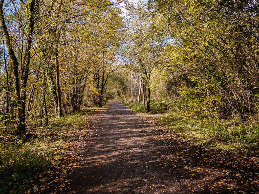 Monsal trail walk to Chee Dale
