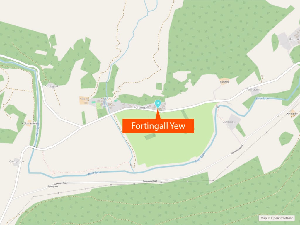 Fortingall Yew map