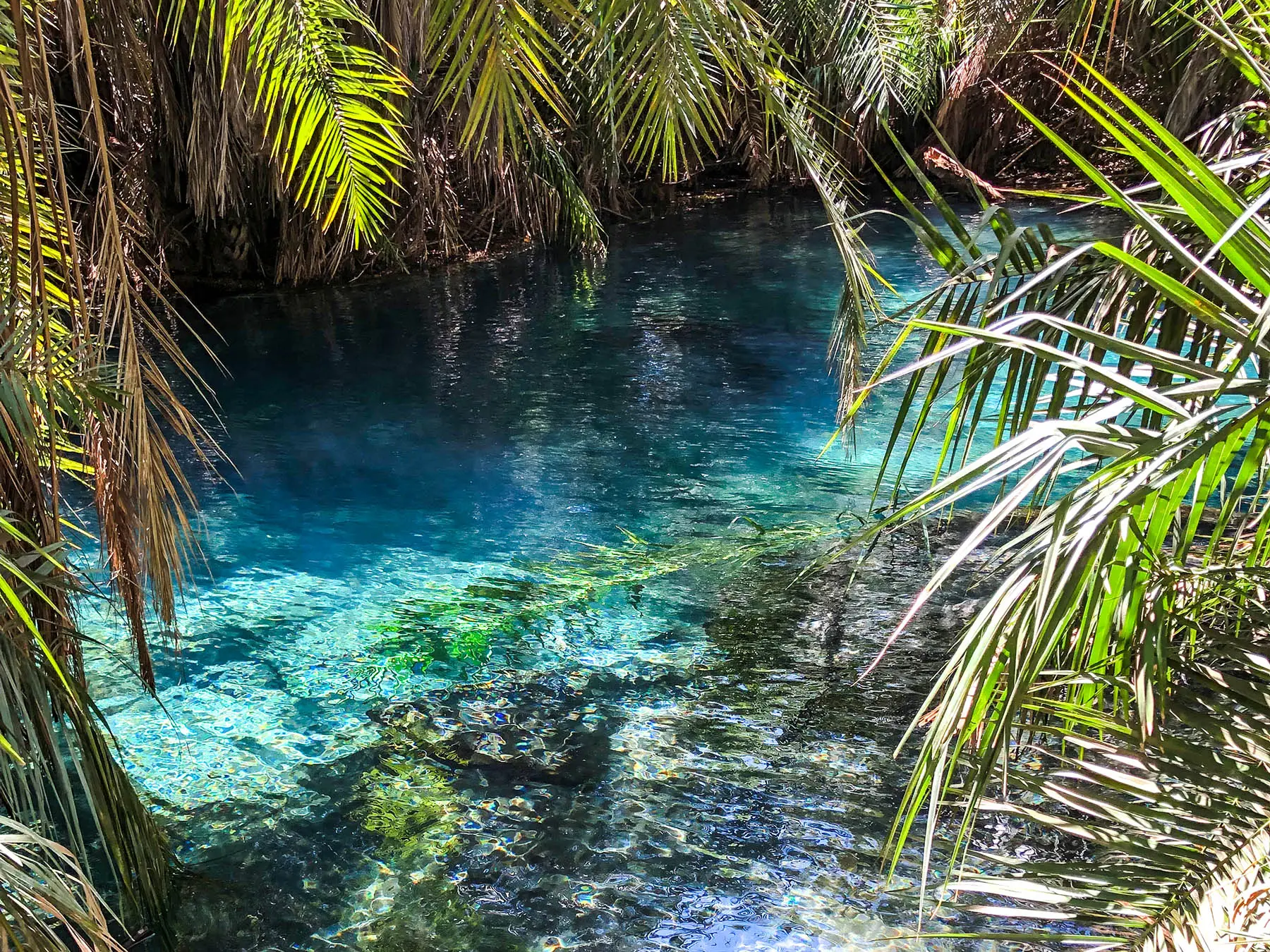 The Chemka Hot Springs in Moshi Tanzania
