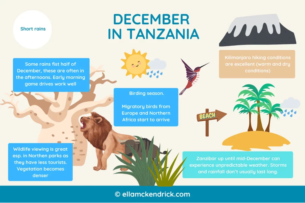 Visual guide to Tanzania in December