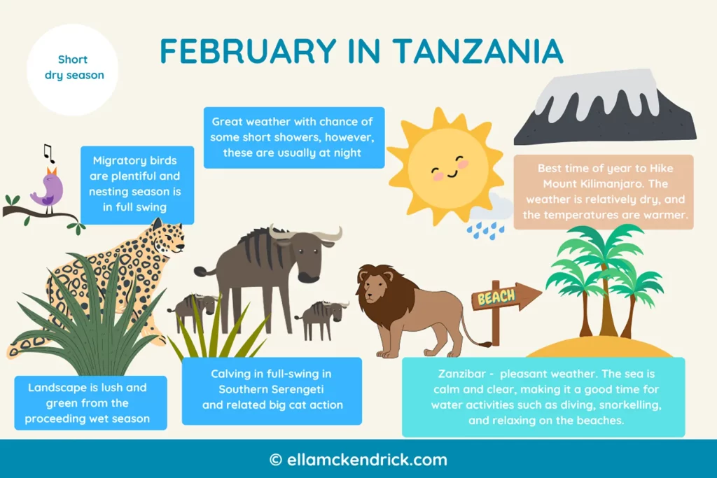 Visual guide to Tanzania in February