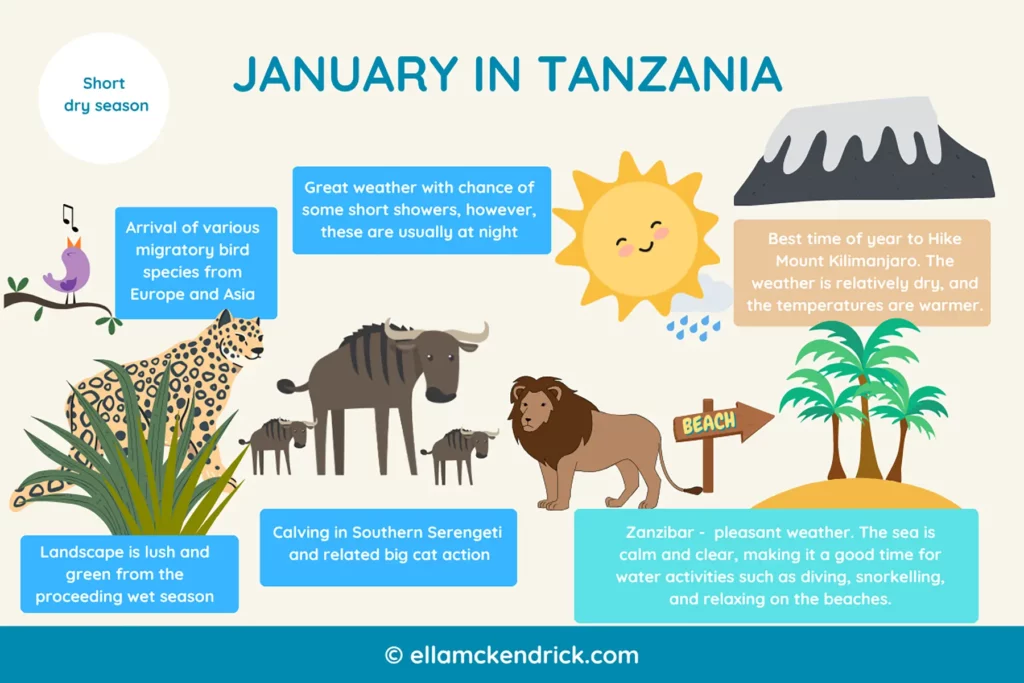 Visual guide to Tanzania in January
