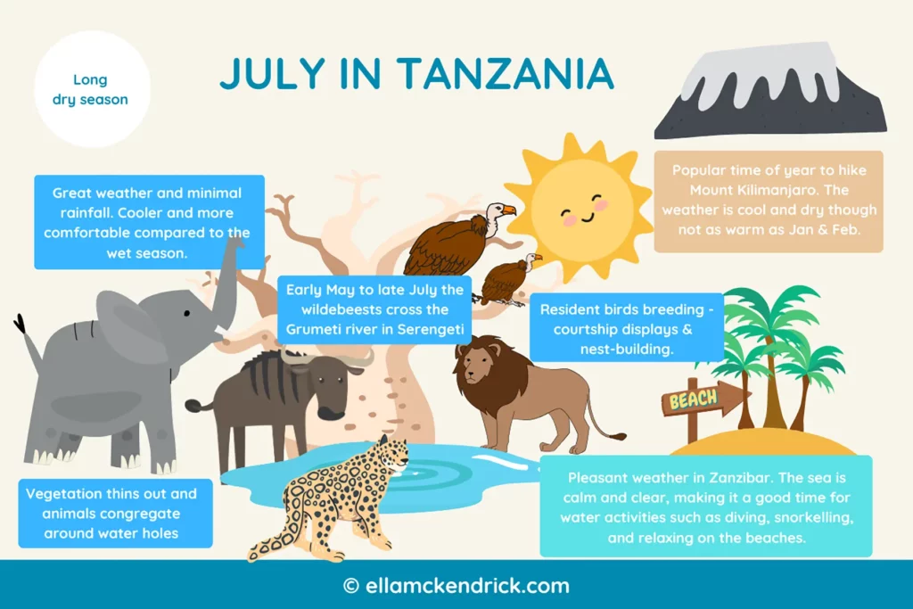 Visual guide to Tanzania in July