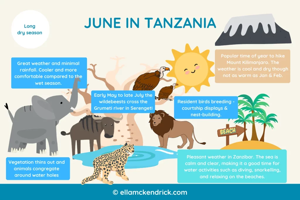 Visual guide to Tanzania in June