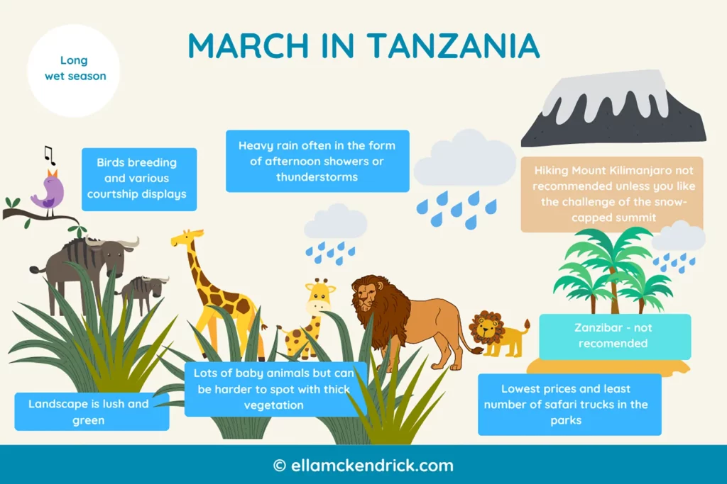 Visual guide to Tanzania in March
