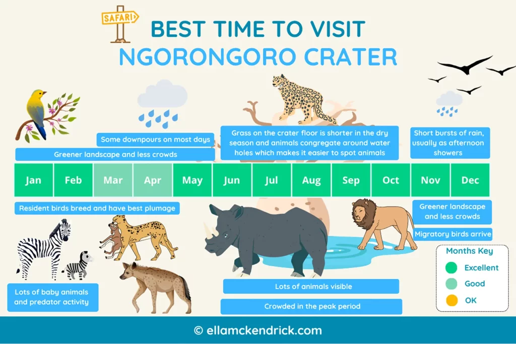 Visual guide showing the best time to visit Ngorongoro Crater