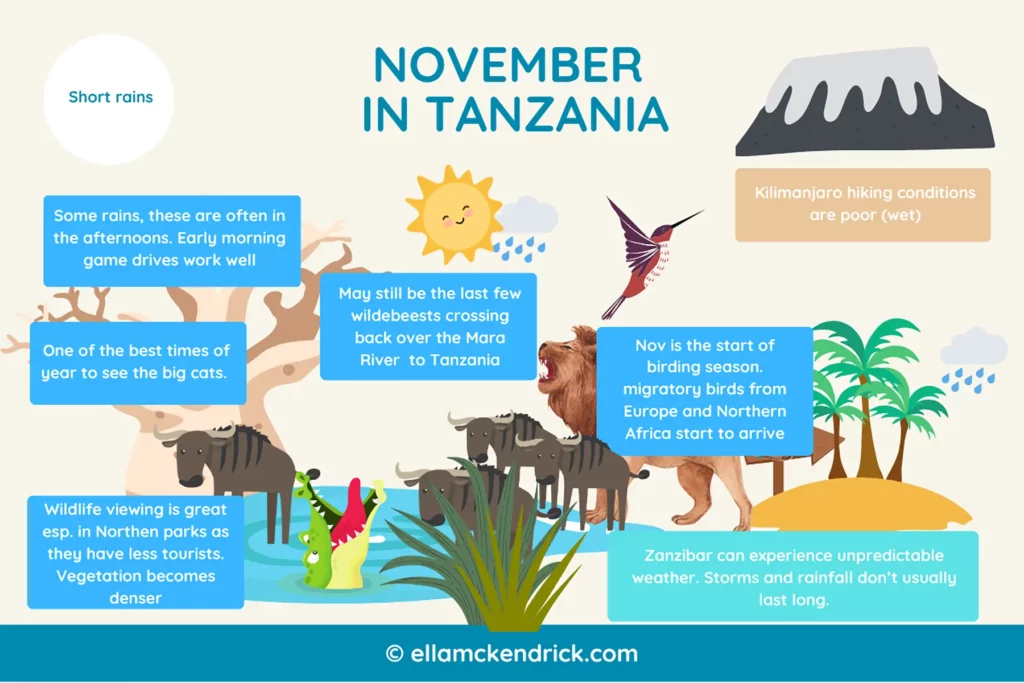 Visual guide to Tanzania in November