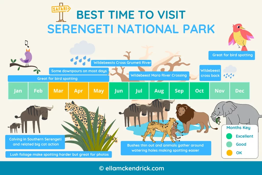 Visual guide showing the best time to visit the Serengeti
