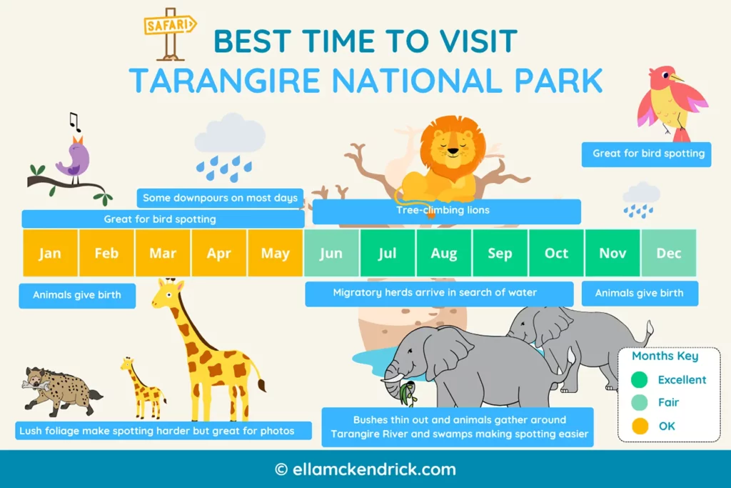 Visual guide showing the best time to visit Tarangire