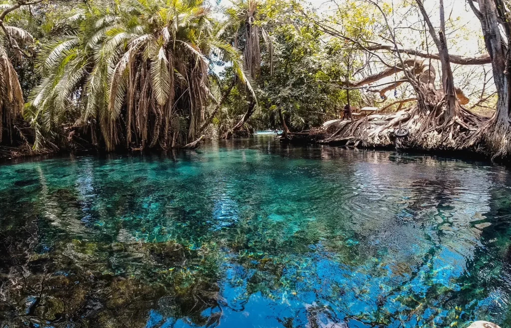 Chemka Hot Springs near Moshi Tanzania