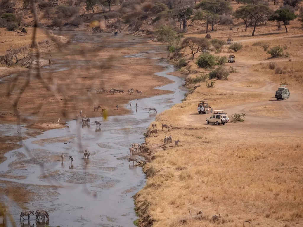 Tarangire River in Tanzania