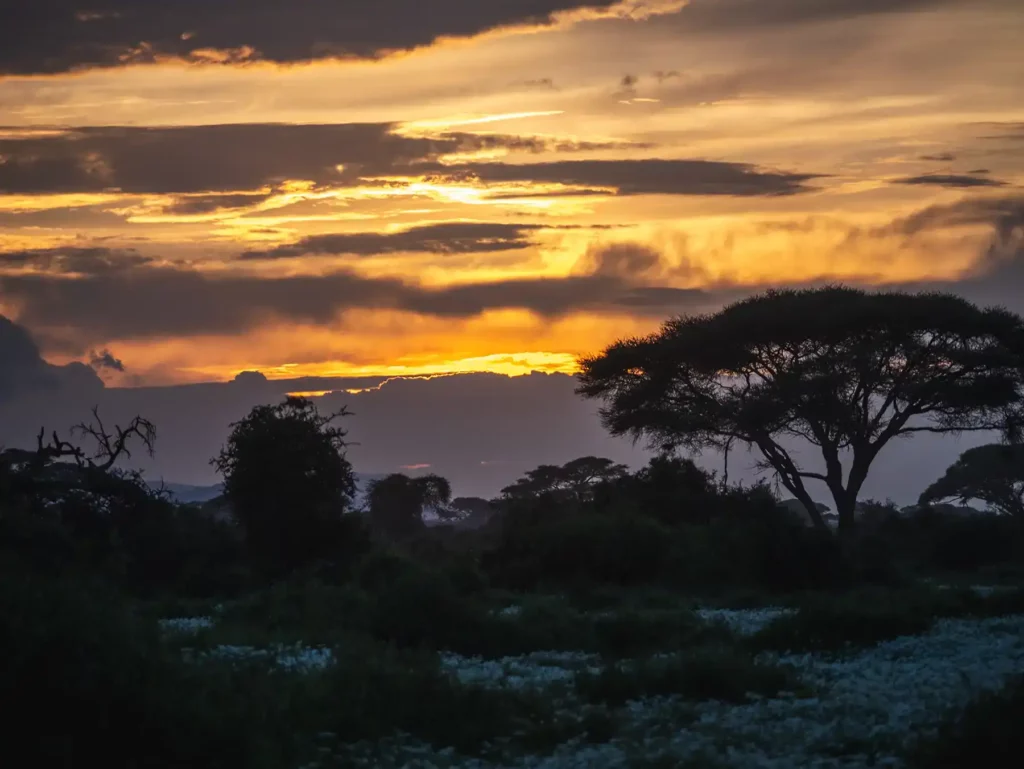 Sunset in Amboseli National Park