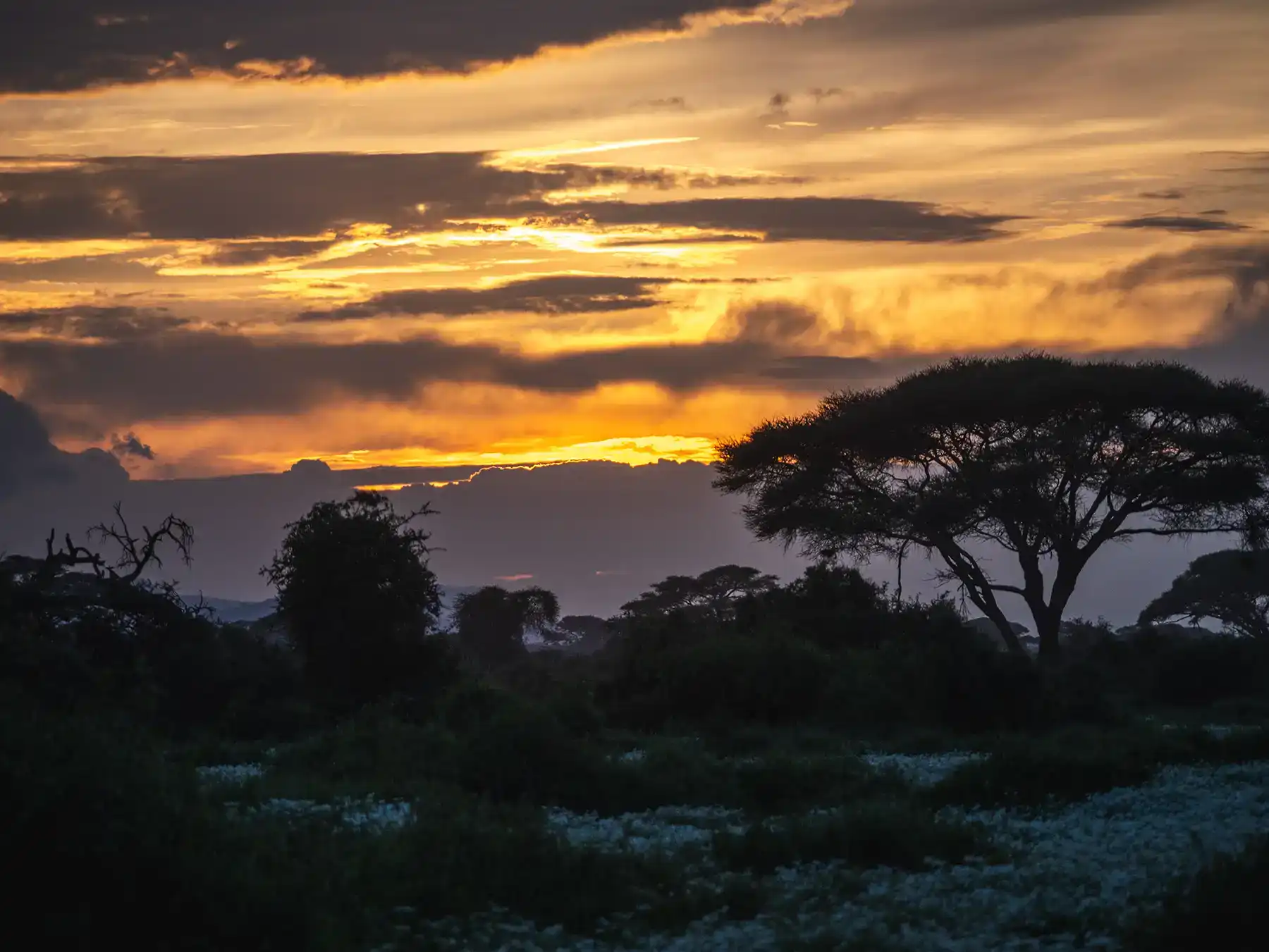 Sunset in Amboseli National Park