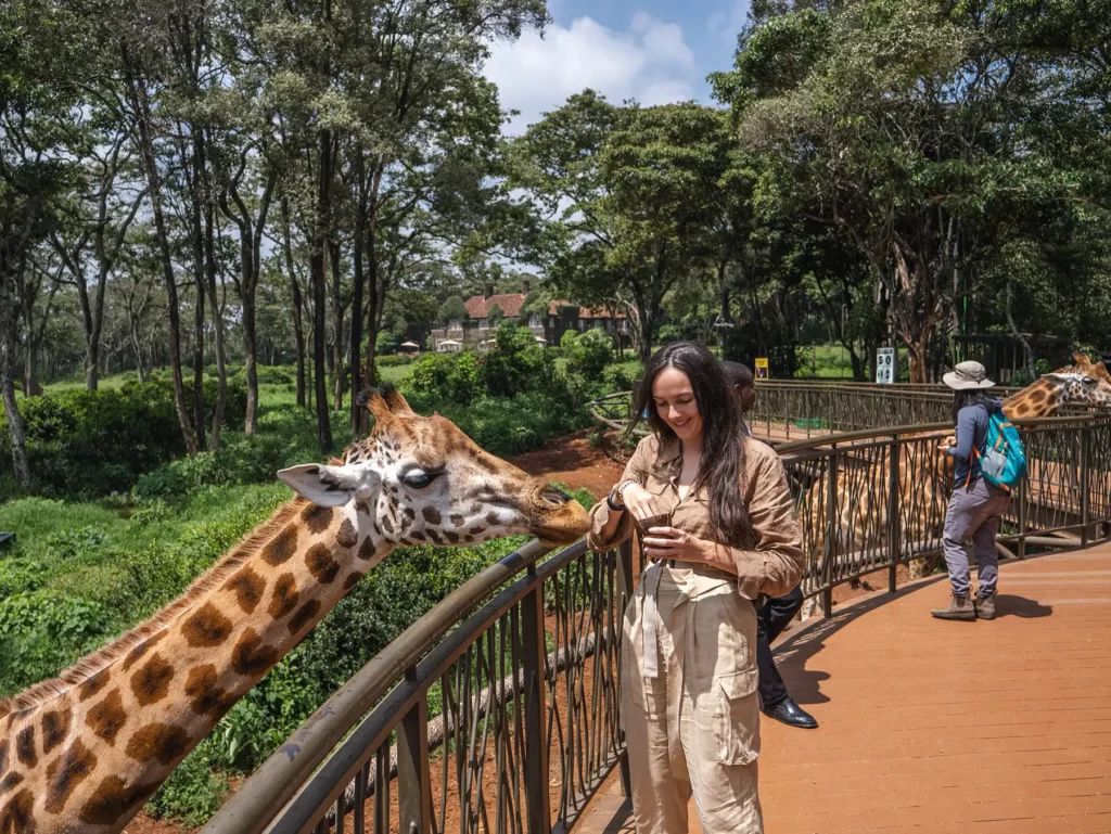 Ella McKendrick feeding a giraffe at the Giraffe Centre in Nairobi