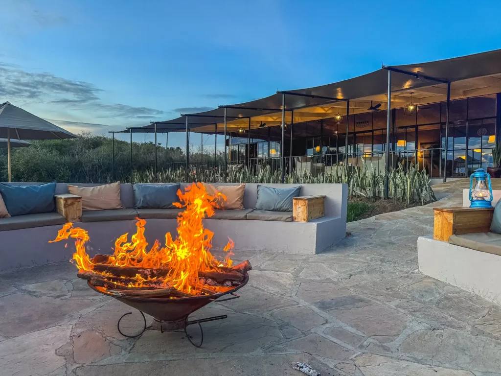 Little Zebra River Camp is a favourite camp of mine which is located within Talek