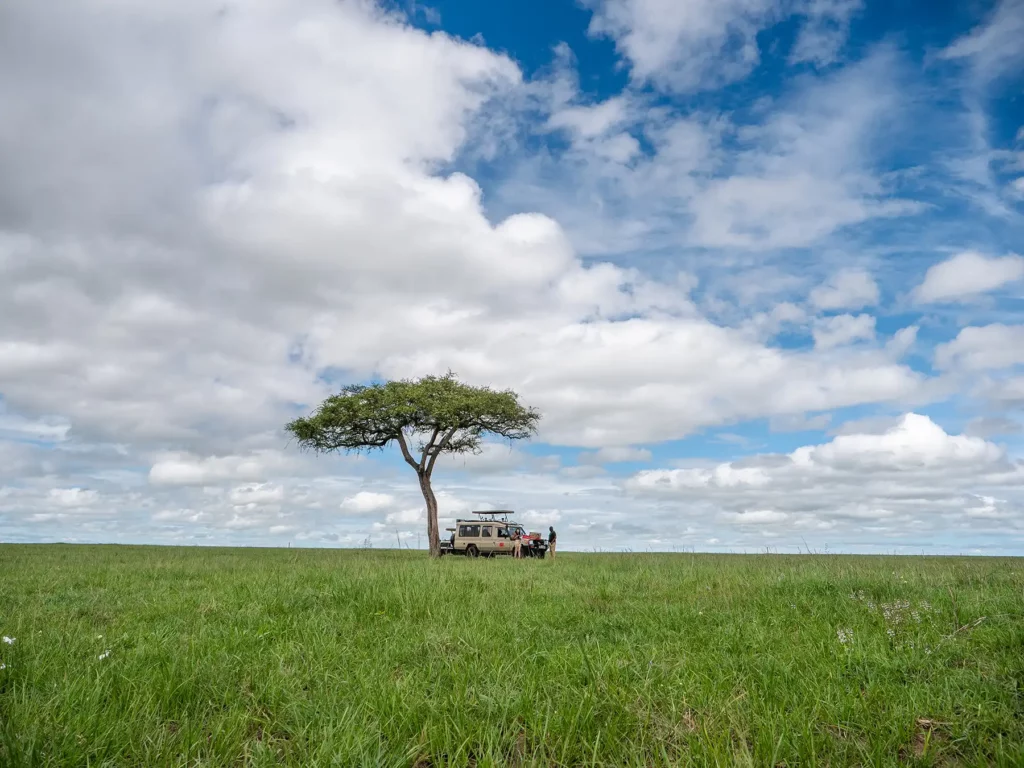 Here we are having a picnic lunch within the Masai Mara