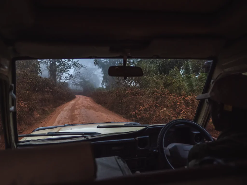 Driving through the ngorongoro conservation area to the crater