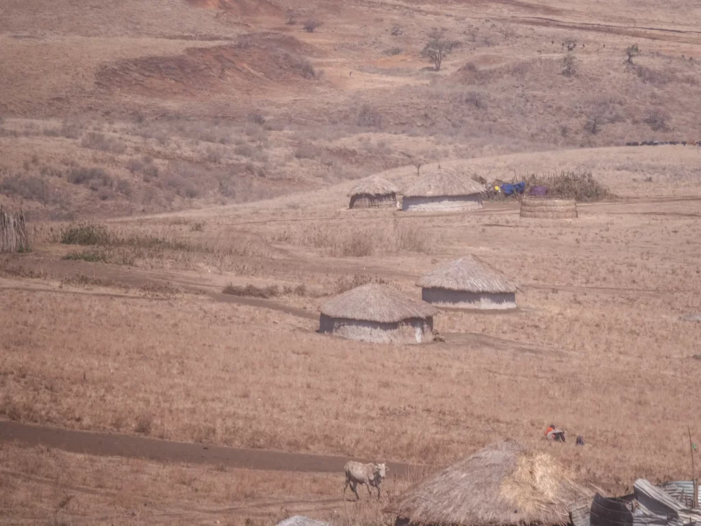 Maasai boma inside the Ngorongoro Conservation Area
