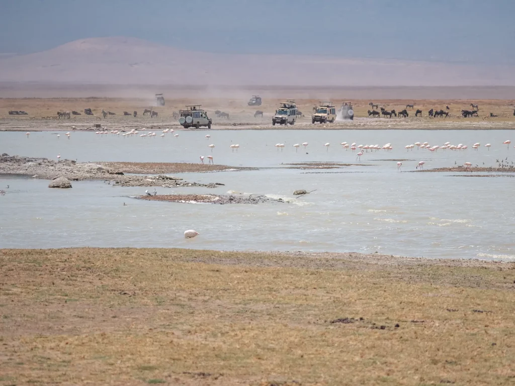 Lake Magadi in the Ngorongoro Crater