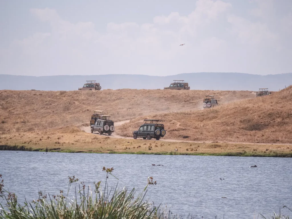 Lots of safari trucks in ngorongoro crater